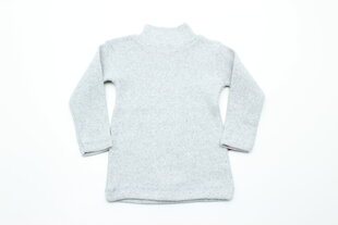 Laste kõrge kaelusega džemper, värvus helehall hind ja info | Tüdrukute kampsunid, vestid ja jakid | kaup24.ee