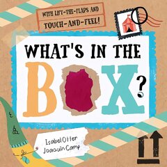 What's in the Box?: Monster Mail цена и информация | Книги для малышей | kaup24.ee