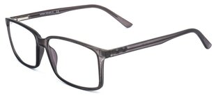 Компьютерные очки с защитой от синего света для мужчин Lensor UltraBlue G127 C3 60-17-155 (XL), прозрачно-серый цена и информация | Очки | kaup24.ee