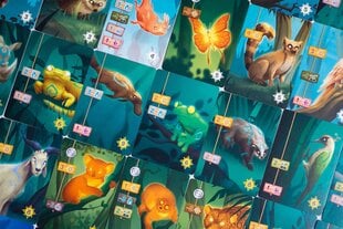 Настольная игра Живой лес | LT/LV/EE. цена и информация | Настольные игры, головоломки | kaup24.ee