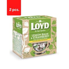 Травяной и фруктовый чай со вкусом мелиссы и черного перца LOYD, 20 х 2 г х 2 цена и информация | Чай | kaup24.ee