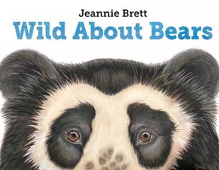 Wild About Bears цена и информация | Книги для подростков и молодежи | kaup24.ee