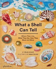 What A Shell Can Tell цена и информация | Книги для подростков и молодежи | kaup24.ee