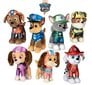 Kaisukas Paw Patrol Skye, 20 cm hind ja info | Pehmed mänguasjad | kaup24.ee