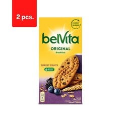 Печенье BELVITA ЛЕСНЫЕ ФРУКТЫ с лесными ягодами, 300 г x 2 шт.  цена и информация | Для лакомств | kaup24.ee