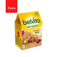 Печенье с клюквой и изюмом BELVITA, 250 г х 2 шт. цена и информация | Сладости | kaup24.ee