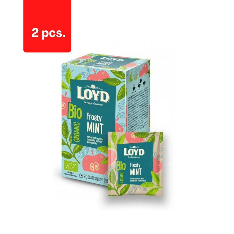 Orgaaniline taimetee LOYD Frosty Mint, 20 x 2g x 2 pakki. pakett цена и информация | Tee | kaup24.ee