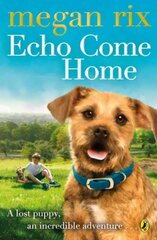 Echo Come Home цена и информация | Книги для подростков и молодежи | kaup24.ee