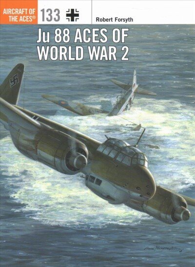 Ju 88 Aces of World War 2 цена и информация | Ajalooraamatud | kaup24.ee