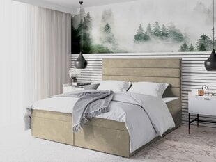 Kontinentaalvoodi ANSGAN III-Manila 02-180x200 cm цена и информация | Кровати | kaup24.ee