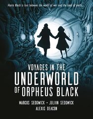 Voyages in the Underworld of Orpheus Black цена и информация | Книги для подростков и молодежи | kaup24.ee