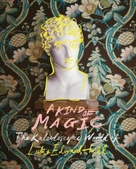 Kind of Magic: The Kaleidoscopic World of Luke Edward Hall цена и информация | Книги по архитектуре | kaup24.ee