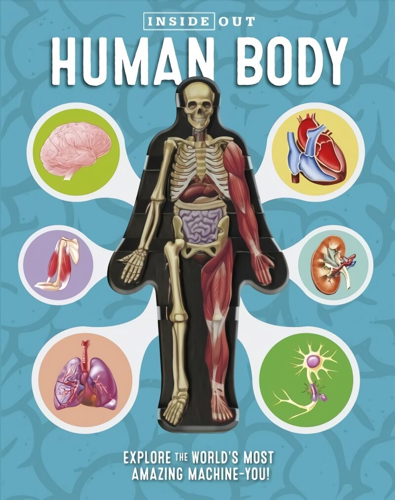 Inside Out Human Body: Explore the World's Most Amazing Machine-You! цена и информация | Noortekirjandus | kaup24.ee