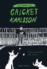 Secrets of Cricket Karlsson цена и информация | Книги для подростков и молодежи | kaup24.ee