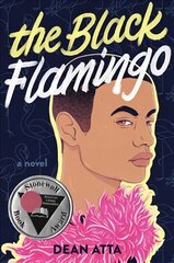 Black Flamingo цена и информация | Книги для подростков и молодежи | kaup24.ee