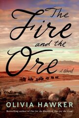 Fire and the Ore: A Novel цена и информация | Фантастика, фэнтези | kaup24.ee