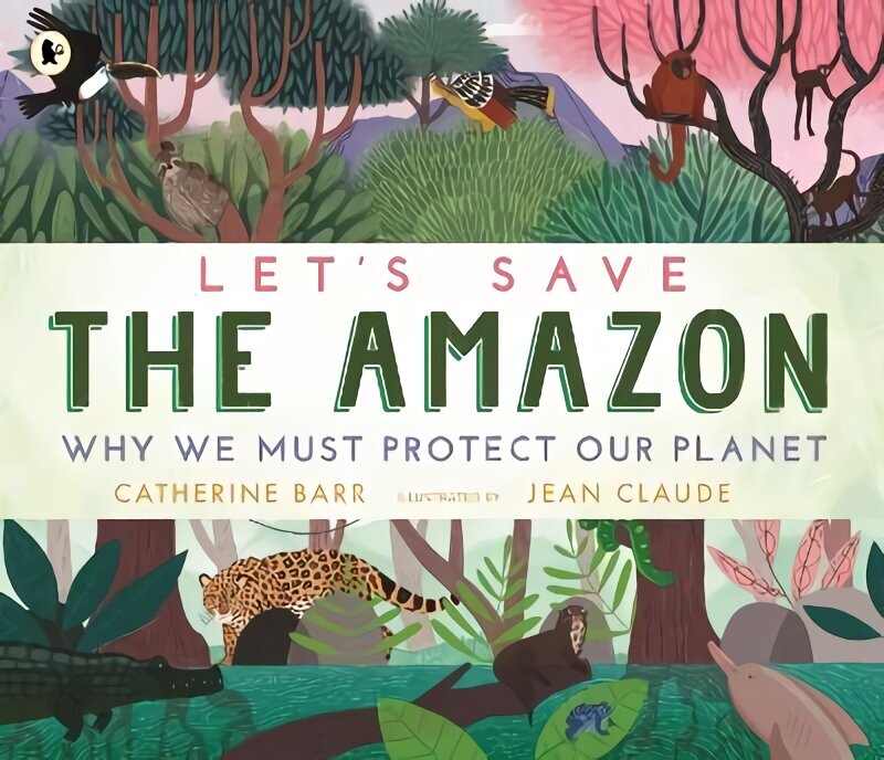 Let's Save the Amazon: Why we must protect our planet цена и информация | Noortekirjandus | kaup24.ee