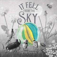 It Fell from the Sky цена и информация | Книги для подростков и молодежи | kaup24.ee