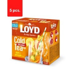 Чай LOYD Cold Infusion со вкусом яблока и ананаса, 12 х 2.5 г х 5 цена и информация | Чай | kaup24.ee