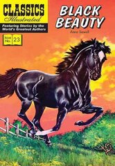 Black Beauty цена и информация | Книги для подростков и молодежи | kaup24.ee