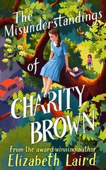 Misunderstandings of Charity Brown цена и информация | Книги для подростков и молодежи | kaup24.ee
