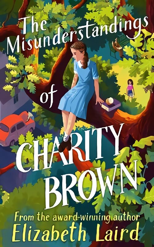 Misunderstandings of Charity Brown hind ja info | Noortekirjandus | kaup24.ee