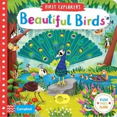 Beautiful Birds hind ja info | Noortekirjandus | kaup24.ee