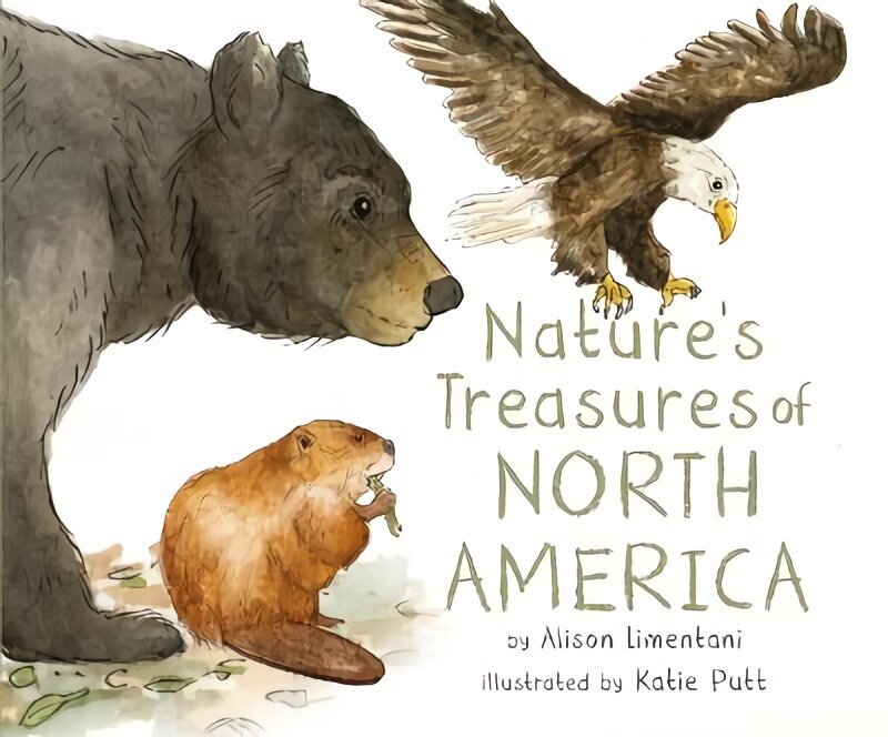 Nature's Treasures of North America цена и информация | Väikelaste raamatud | kaup24.ee