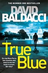 True Blue цена и информация | Фантастика, фэнтези | kaup24.ee