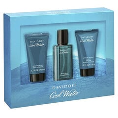 Komplekt Davidoff Cool Water Man meestele hind ja info | Meeste parfüümid | kaup24.ee