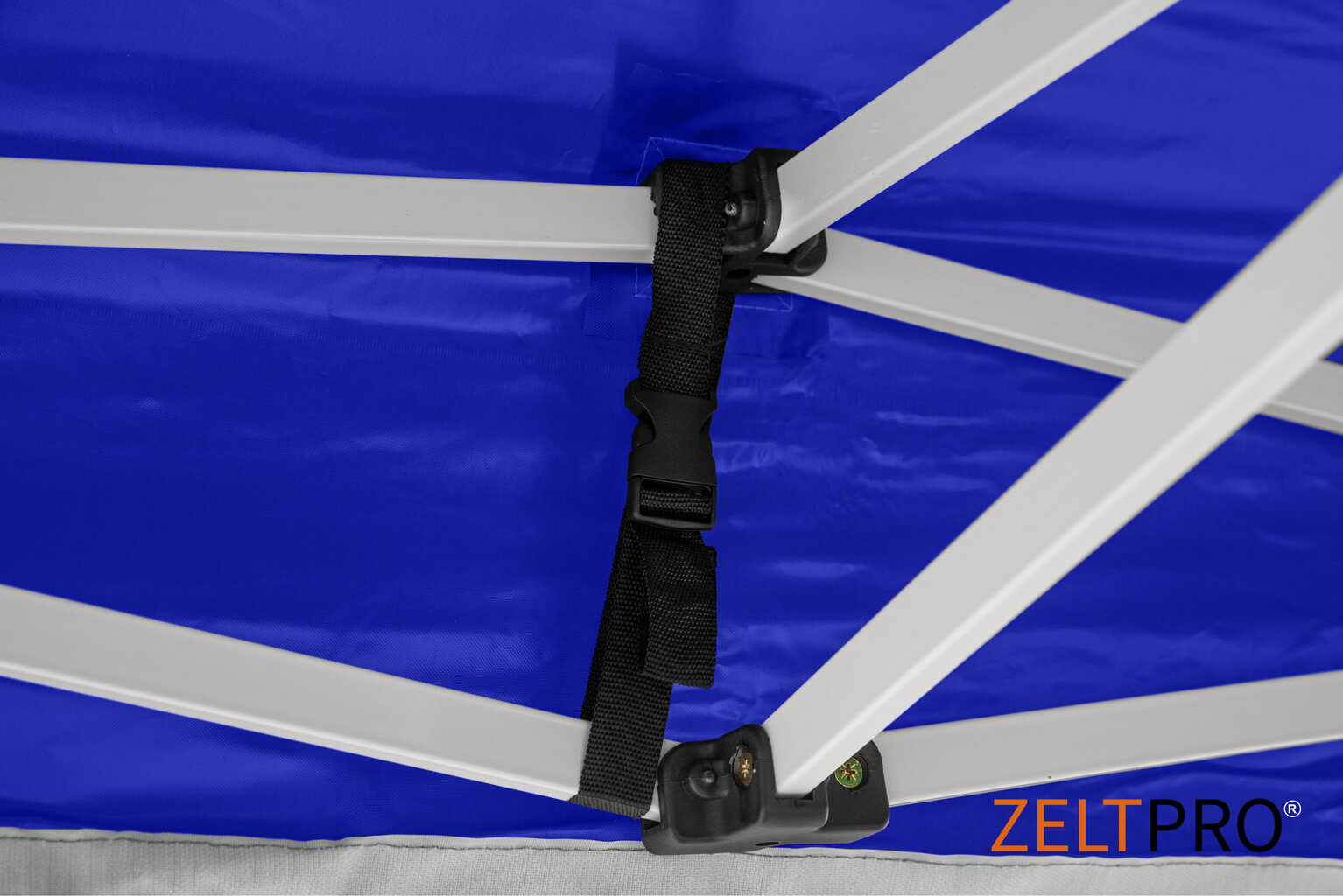 Pop-up telk 3x3 sinine Zeltpro PROFRAME hind ja info | Telgid | kaup24.ee