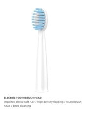 Насадки для электронных зубных щеток, Techancy, 4 шт. цена и информация | Для ухода за зубами | kaup24.ee