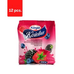 Kisielius Klingai, metsamarjamaitseline, 250 g x 12 tk pakett hind ja info | Lisandid toiduvalmistamiseks | kaup24.ee