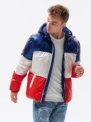 Зимняя куртка, C459, темно-синяя, 16296-7 цена и информация | Мужские куртки | kaup24.ee