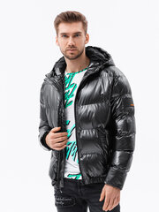 Зимняя куртка, C463, темно-серая, 16391-7 цена и информация | Мужские куртки | kaup24.ee