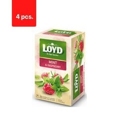 Травяной и фруктовый чай со вкусом мяты и малины LOYD, 20 х 2 г х 4 упаковки цена и информация | Чай | kaup24.ee