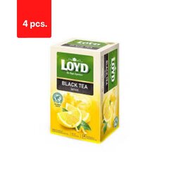 Ürdi- ja puuviljatee LOYD, melissi ja apelsinimaitseline, 20 x 2g x 4 pakki. pakett цена и информация | Чай | kaup24.ee
