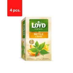 Ürdi- ja puuviljatee LOYD, nõgese ja mango maitsega, 20 x 1,5g x 4 pakki. pakett цена и информация | Чай | kaup24.ee