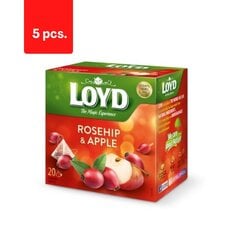 Чай фруктовый со вкусом яблока и облепихи LOYD, 20 х 2 г х 5 упаковок цена и информация | Чай | kaup24.ee