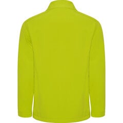 Meeste jope Softshell Nebraska, heleroheline hind ja info | Meeste joped | kaup24.ee