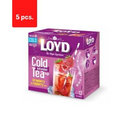 Tee LOYD Cold Infusion, maasika- ja vaarikamaitseline, 12 x 2,5 g x 5 pakki. hind ja info | Tee | kaup24.ee
