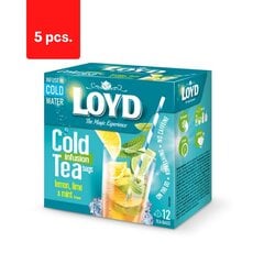 LOYD Cold Infusion tee, sidruni, rohelise sidruni ja piparmündi maitsega, 12 x 2,5 g x 5 pakki. hind ja info | Tee | kaup24.ee