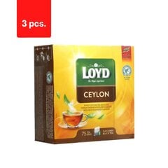 Maitsestatud must tee LOYD Ceylon, 75 x 2g x 3 pakki. hind ja info | Tee | kaup24.ee