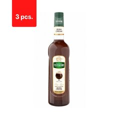 Siirup TEISSEIRE, Iiri kreem, 0,7 l x 3 tk. цена и информация | Соусы | kaup24.ee