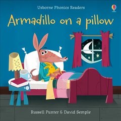 Armadillo on a pillow UK 2019 цена и информация | Книги для подростков и молодежи | kaup24.ee