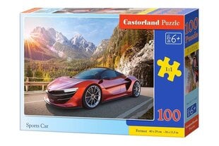 Pusle Sports Car, 100 o. цена и информация | Пазлы | kaup24.ee