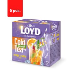 Tee LOYD Cold Infusion, apelsini ja salvei maitsega, 12 x 2,5 g x 5 pakki. hind ja info | Tee | kaup24.ee