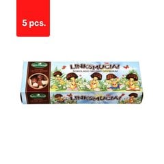 Küpsised LINKSMUČIAI, šokolaadimaitselised seened, 170 g x 5 tk. pakett hind ja info | Maiustused | kaup24.ee