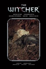 Witcher Library Edition Volume 2 цена и информация | Фантастика, фэнтези | kaup24.ee