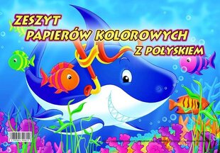 Värviliste paberite komplekt (ühepoolne), A4, 10 lehte цена и информация | Тетради и бумажные товары | kaup24.ee